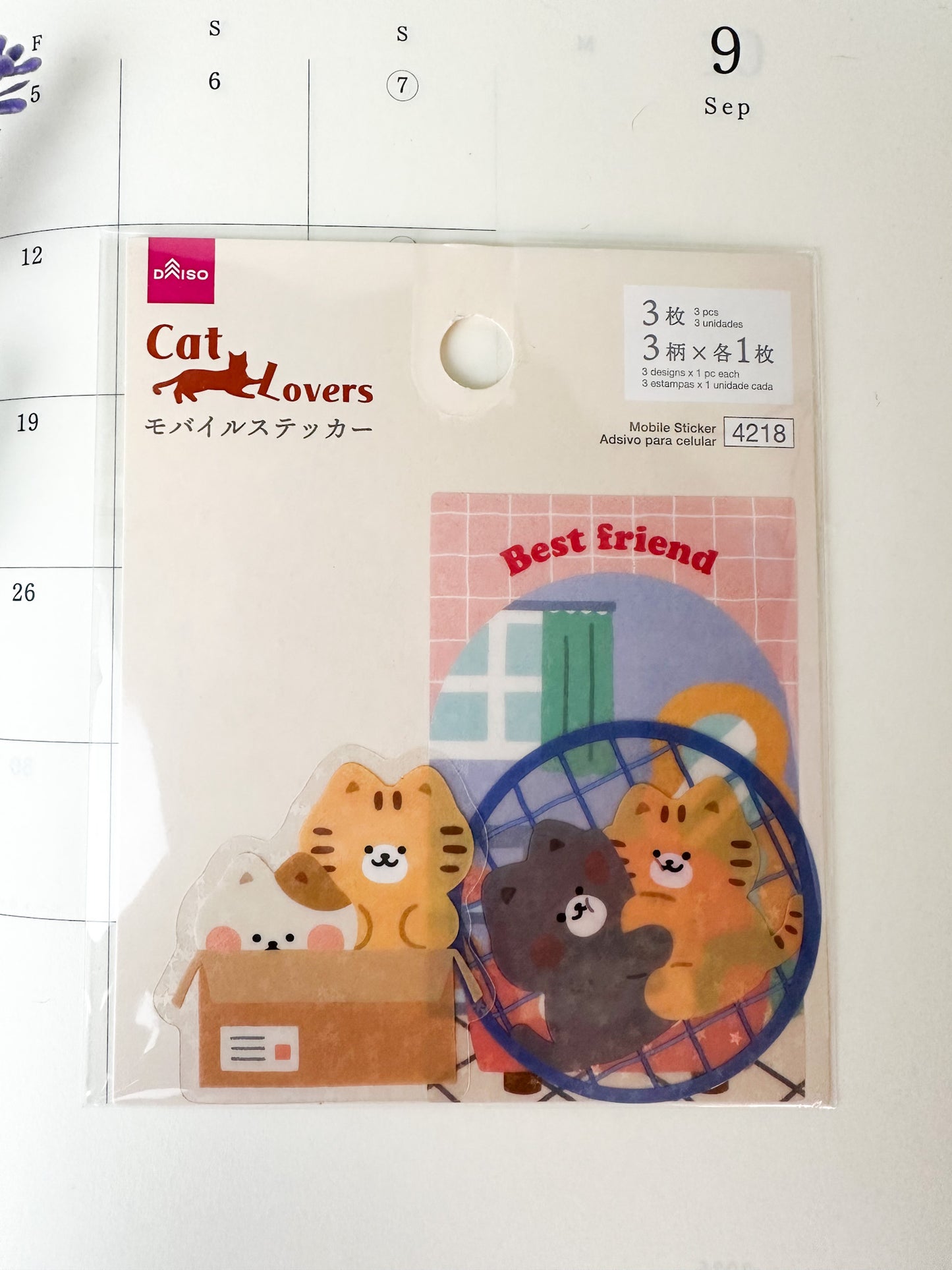 Set de pegatinas japonesas de gatitos jugando y escondidos en una caja.