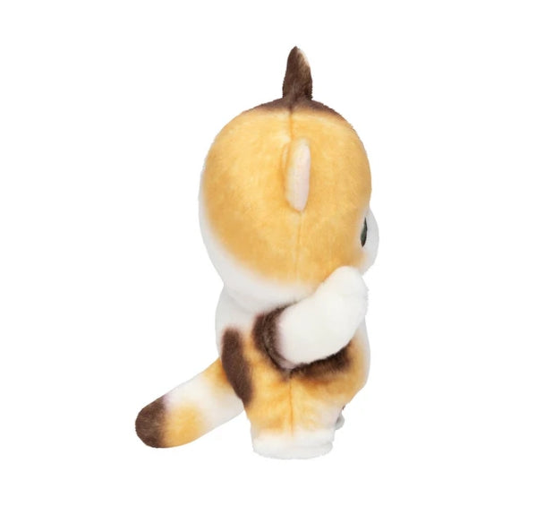 [Preorder] Mofusand Peluche Peek A Boo Calicó