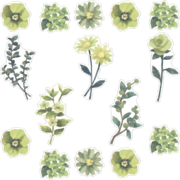 Set de pegatinas flake CRUX con ilustraciones florales en tonos verde botánico vista de cerca