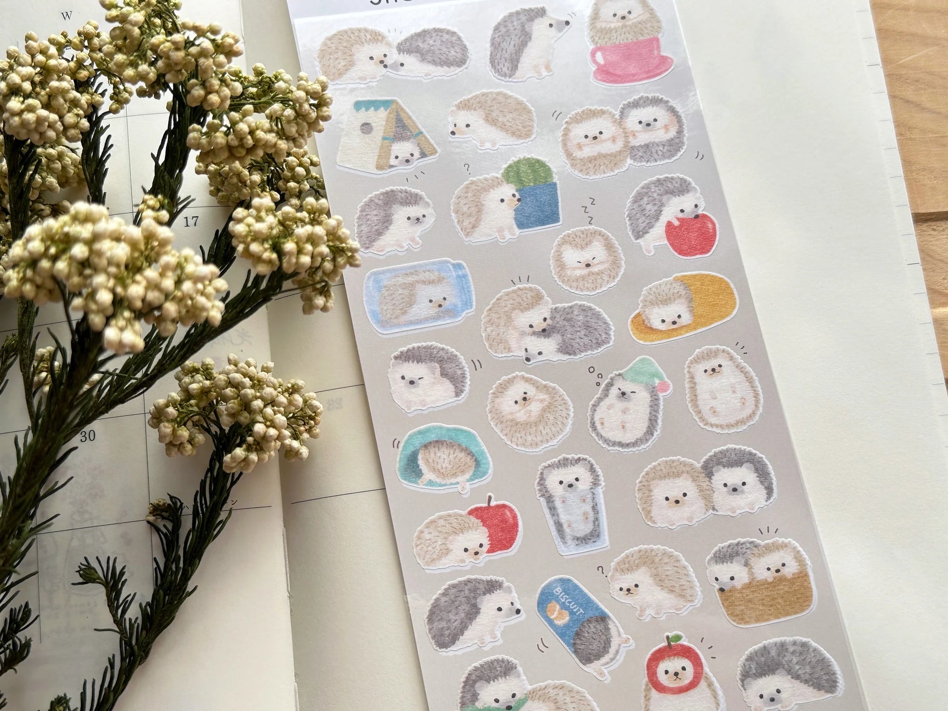 Pegatinas japonesas de erizos adorables en diferentes poses, sobre fondo gris. Hechas en Japón por Gaia